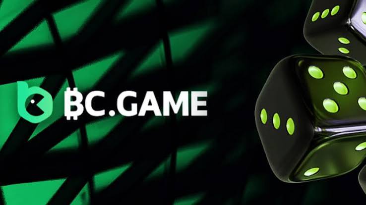 Understanding the BC.Game Registration Process A Comprehensive Guide
